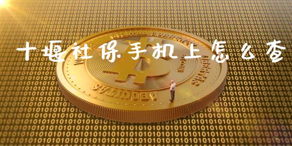 十堰社保手机上怎么查_https://cj002.lansai.wang_保险问答_第1张