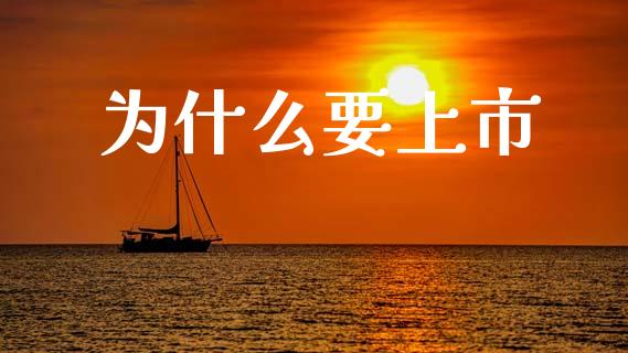 为什么要上市_https://cj002.lansai.wang_理财问答_第1张
