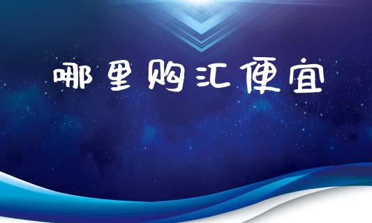 哪里购汇便宜_https://cj002.lansai.wang_理财问答_第1张