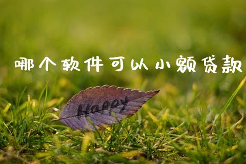 哪个软件可以小额贷款_https://cj002.lansai.wang_期货问答_第1张