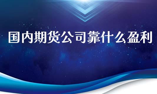 国内期货公司靠什么盈利_https://cj002.lansai.wang_期货问答_第1张
