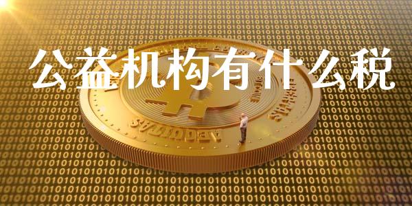 公益机构有什么税_https://cj002.lansai.wang_会计问答_第1张