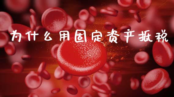 为什么用固定资产抵税_https://cj002.lansai.wang_会计问答_第1张
