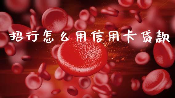招行怎么用信用卡贷款_https://cj002.lansai.wang_金融问答_第1张