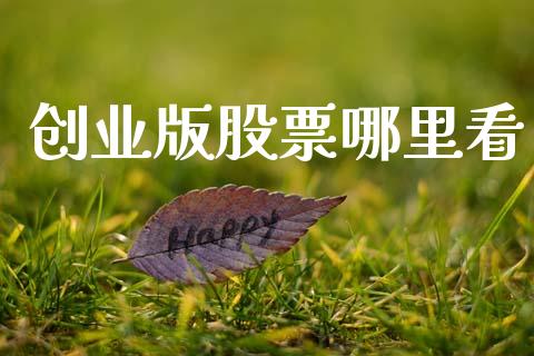 创业版股票哪里看_https://cj002.lansai.wang_理财问答_第1张