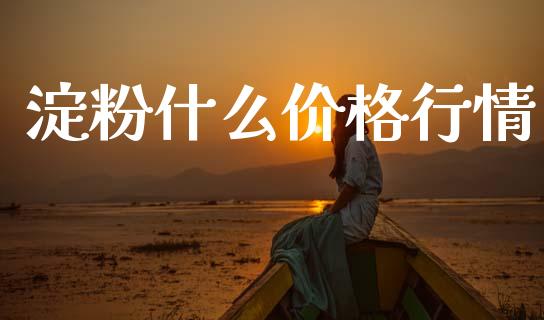 淀粉什么价格行情_https://cj002.lansai.wang_金融问答_第1张