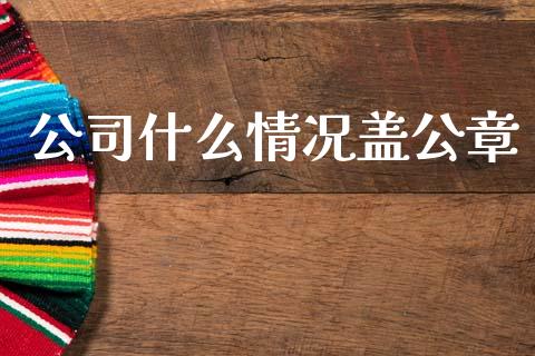 公司什么情况盖公章_https://cj002.lansai.wang_会计问答_第1张