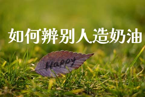 如何辨别人造奶油_https://cj002.lansai.wang_财经问答_第1张