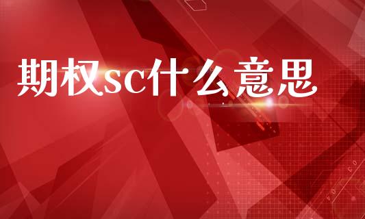 期权sc什么意思_https://cj002.lansai.wang_会计问答_第1张