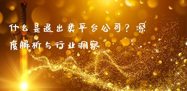 什么是退出类平台公司？深度解析与行业洞察_https://cj002.lansai.wang_理财问答_第1张