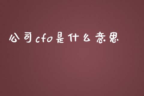 公司cfo是什么意思_https://cj002.lansai.wang_会计问答_第1张