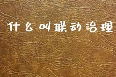 什么叫联动治理_保险问答_第1张_财经百问网 什么叫联动治理_https://cj002.lansai.wang_保险问答_第1张