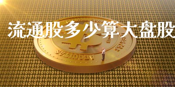 流通股多少算大盘股_https://cj002.lansai.wang_保险问答_第1张