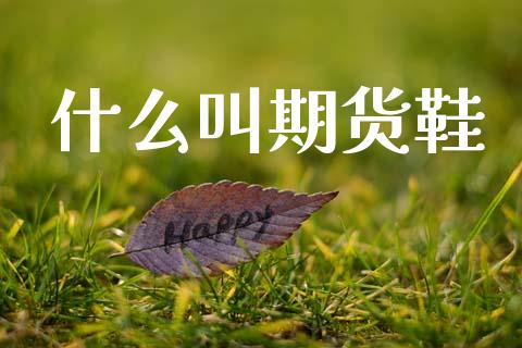 什么叫期货鞋_https://cj002.lansai.wang_期货问答_第1张