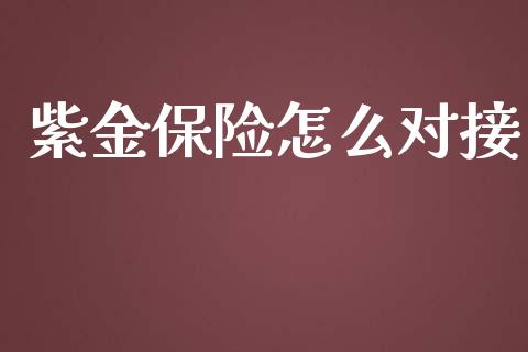 紫金保险怎么对接_https://cj002.lansai.wang_保险问答_第1张