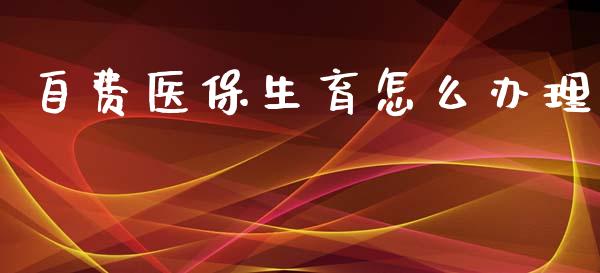 自费医保生育怎么办理_https://cj002.lansai.wang_保险问答_第1张