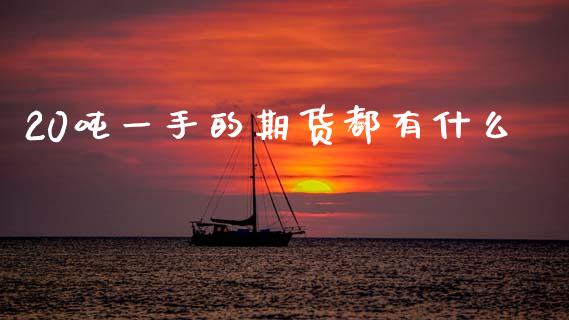 20吨一手的期货都有什么_https://cj002.lansai.wang_财经问答_第1张