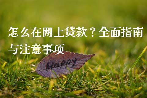 怎么在网上贷款？全面指南与注意事项_https://cj002.lansai.wang_财经百问_第1张