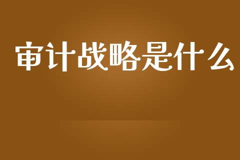 审计战略是什么_https://cj002.lansai.wang_会计问答_第1张