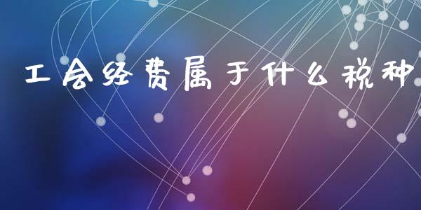 工会经费属于什么税种_https://cj002.lansai.wang_会计问答_第1张