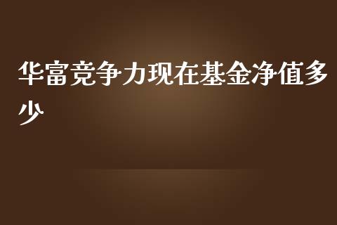 华富竞争力现在基金净值多少_https://cj002.lansai.wang_股市问答_第1张