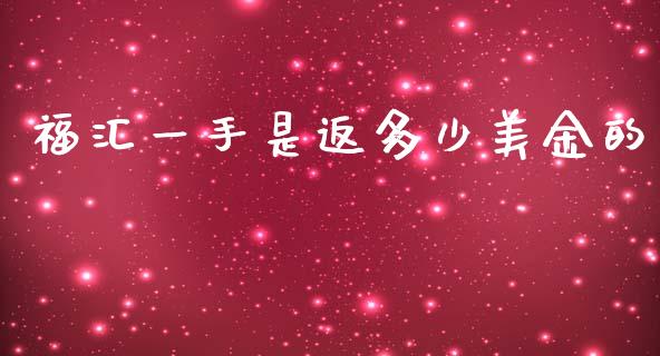 福汇一手是返多少美金的_https://cj002.lansai.wang_财经问答_第1张