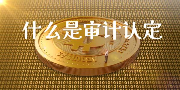 什么是审计认定_https://cj002.lansai.wang_会计问答_第1张