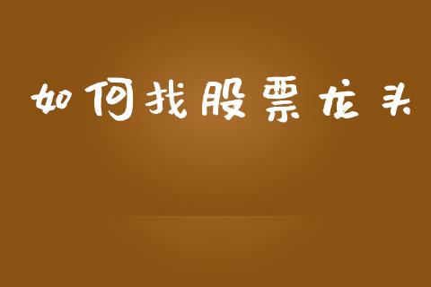 如何找股票龙头_https://cj002.lansai.wang_金融问答_第1张