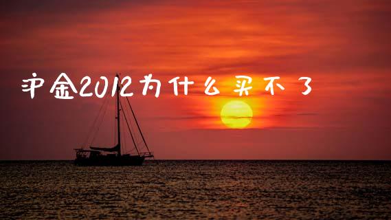 沪金2012为什么买不了_https://cj002.lansai.wang_金融问答_第1张