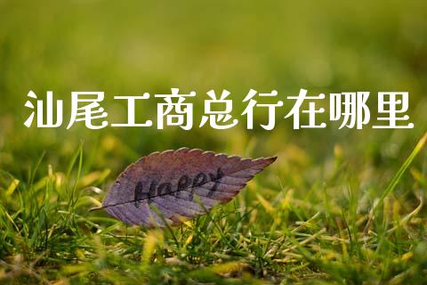 汕尾工商总行在哪里_https://cj002.lansai.wang_理财问答_第1张