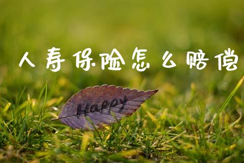 人寿保险怎么赔偿_https://cj002.lansai.wang_保险问答_第1张