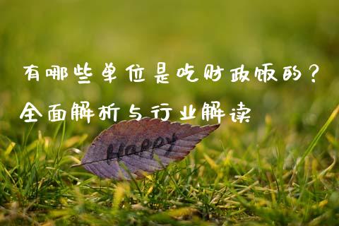 有哪些单位是吃财政饭的？全面解析与行业解读_https://cj002.lansai.wang_金融问答_第1张