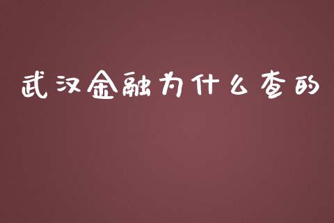 武汉金融为什么查的_https://cj002.lansai.wang_理财问答_第1张
