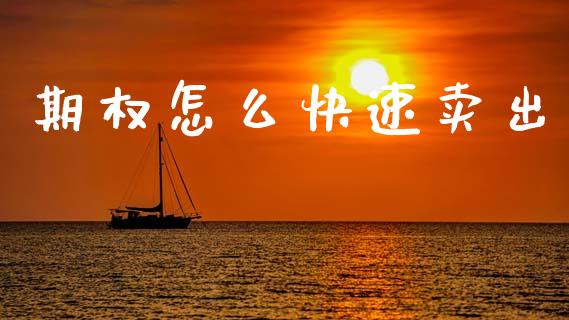 期权怎么快速卖出_https://cj002.lansai.wang_期货问答_第1张