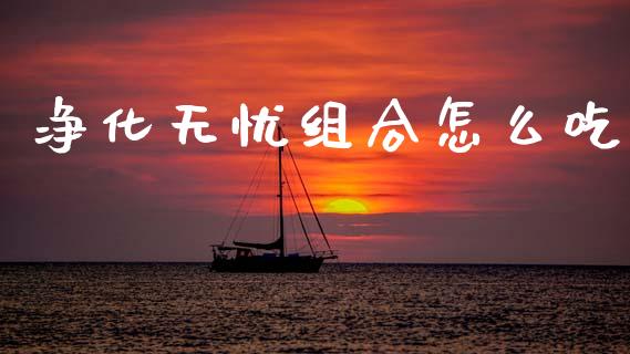 净化无忧组合怎么吃_https://cj002.lansai.wang_保险问答_第1张