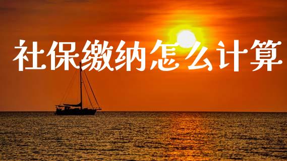 社保缴纳怎么计算_https://cj002.lansai.wang_保险问答_第1张