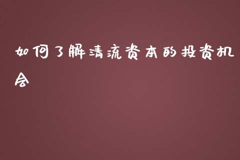 如何了解清流资本的投资机会_https://cj002.lansai.wang_保险问答_第1张