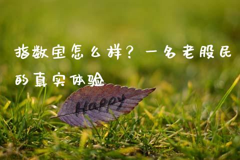 指数宝怎么样？一名老股民的真实体验_https://cj002.lansai.wang_财经百问_第1张