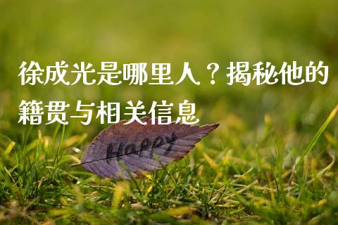 徐成光是哪里人？揭秘他的籍贯与相关信息_https://cj002.lansai.wang_财经百问_第1张