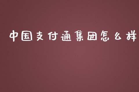 中国支付通集团怎么样_https://cj002.lansai.wang_财经问答_第1张
