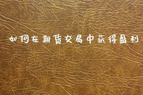 如何在期货交易中获得盈利_https://cj002.lansai.wang_会计问答_第1张