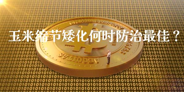 玉米缩节矮化何时防治最佳？_https://cj002.lansai.wang_财经百问_第1张