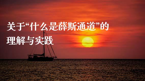 关于“什么是薛斯通道”的理解与实践_https://cj002.lansai.wang_股市问答_第1张