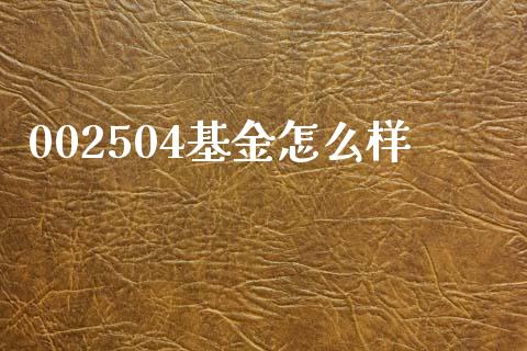 002504基金怎么样_https://cj002.lansai.wang_财经问答_第1张