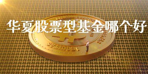 华夏股票型基金哪个好_https://cj002.lansai.wang_期货问答_第1张