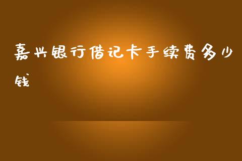 嘉兴银行借记卡手续费多少钱_https://cj002.lansai.wang_理财问答_第1张