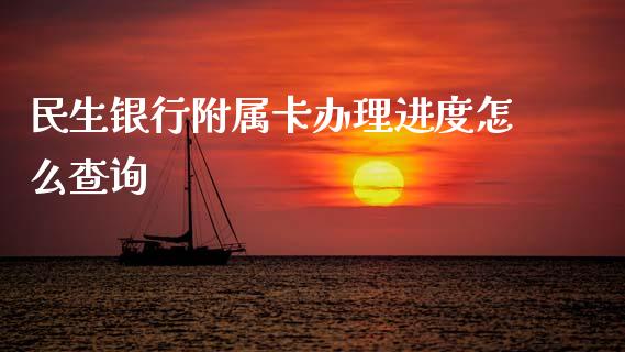 民生银行附属卡办理进度怎么查询_https://cj002.lansai.wang_金融问答_第1张