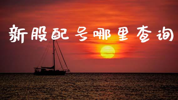 新股配号哪里查询_https://cj002.lansai.wang_期货问答_第1张