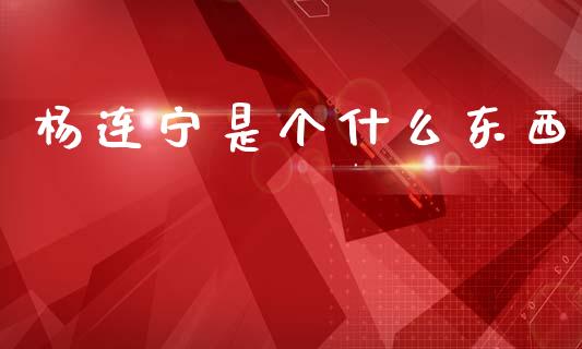 杨连宁是个什么东西_https://cj002.lansai.wang_期货问答_第1张