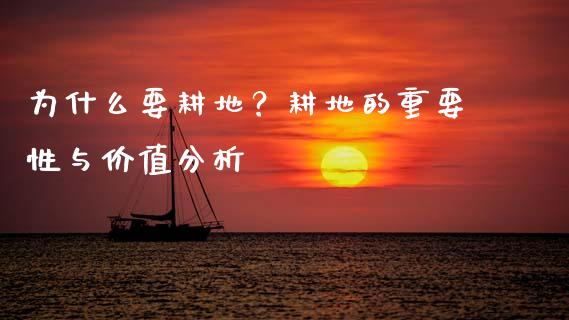 为什么要耕地？耕地的重要性与价值分析_https://cj002.lansai.wang_股市问答_第1张
